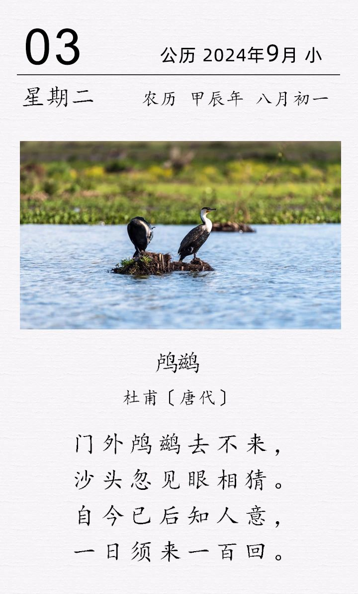  杜甫《​三绝句 · 其二 · 鸬鹚》