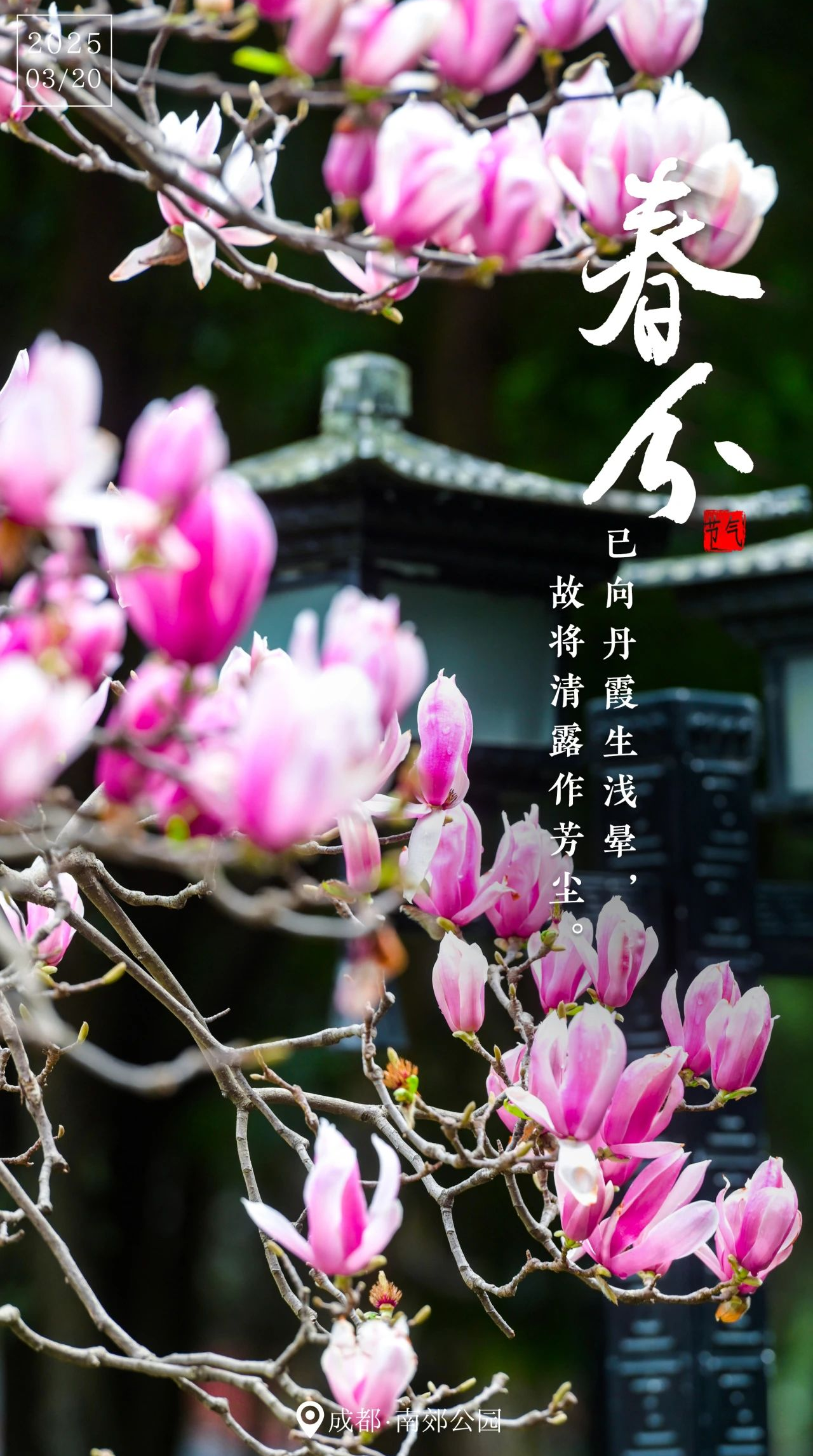今日春分！成都，陪你走进春天