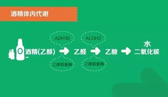 99%的人不知道的酒知识