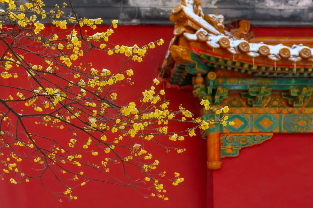 天寒酒不寒，余岁有清欢