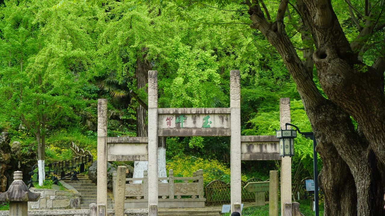 帘动夏风起，心静自清凉