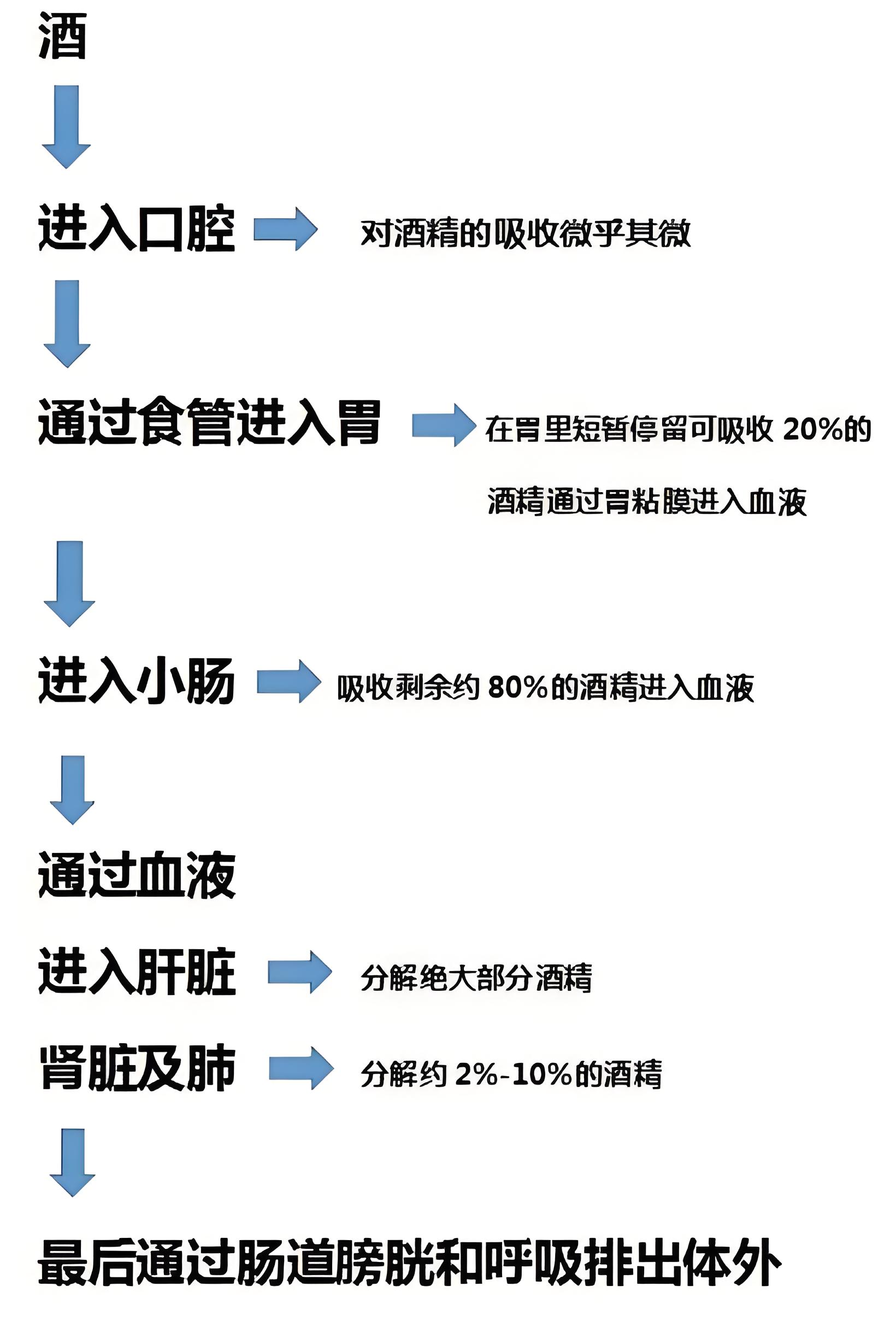 喝酒到底对健身有什么影响？