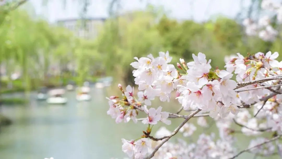 “花间不敬酒，树下莫发声”，成功之人都懂得的智慧