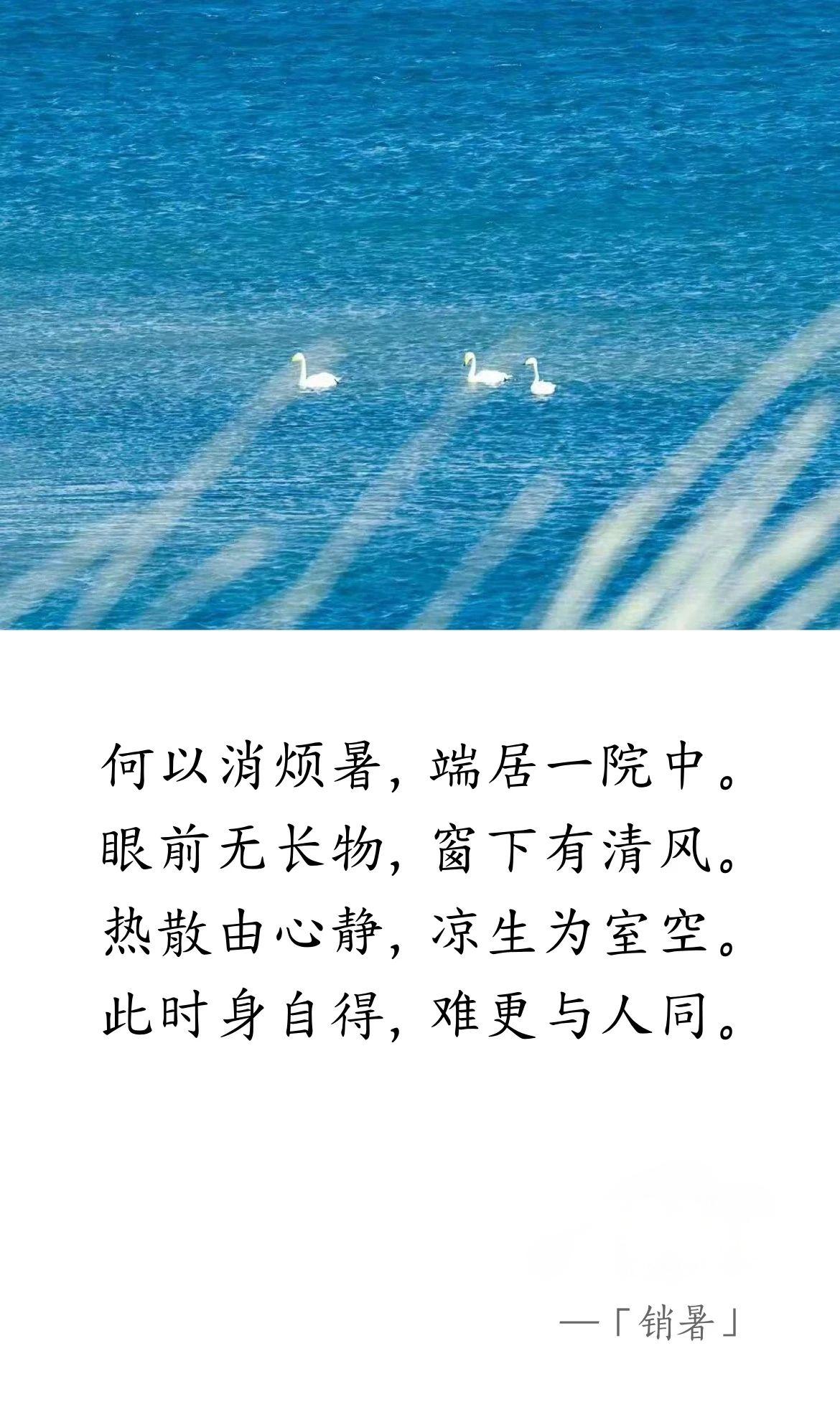 唐 · 白居易《消暑》