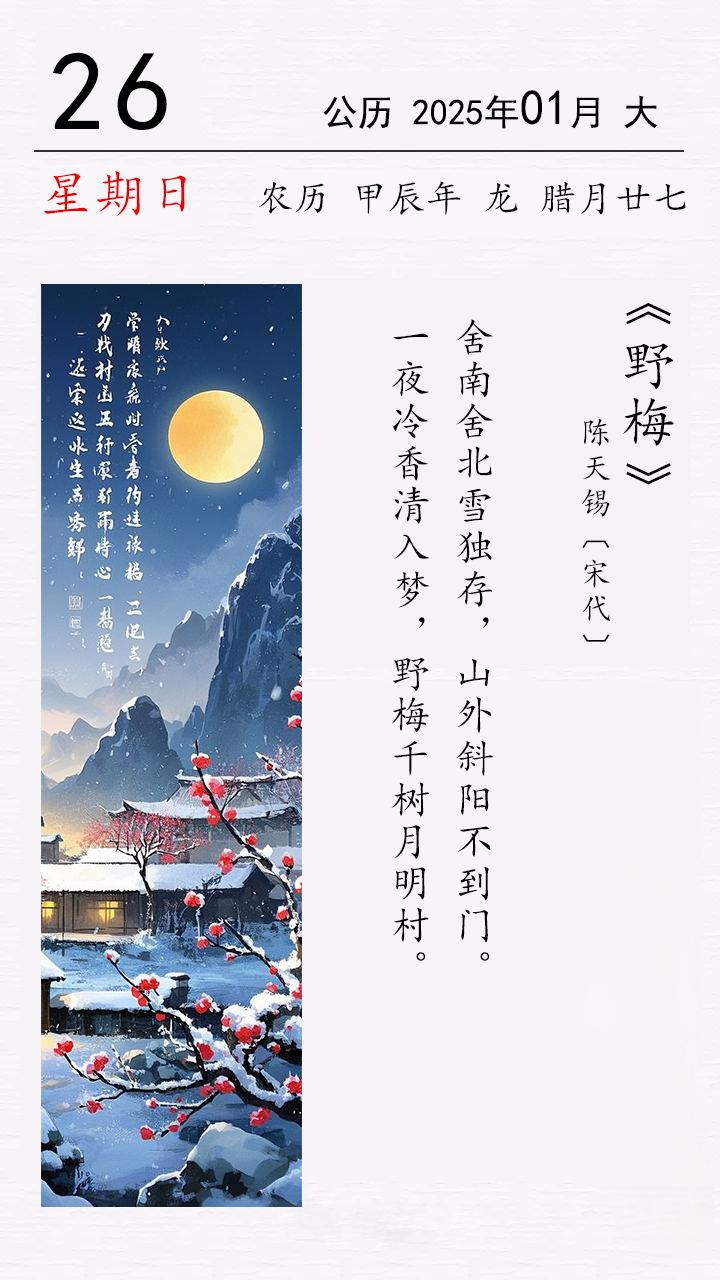 陈天锡《野梅》