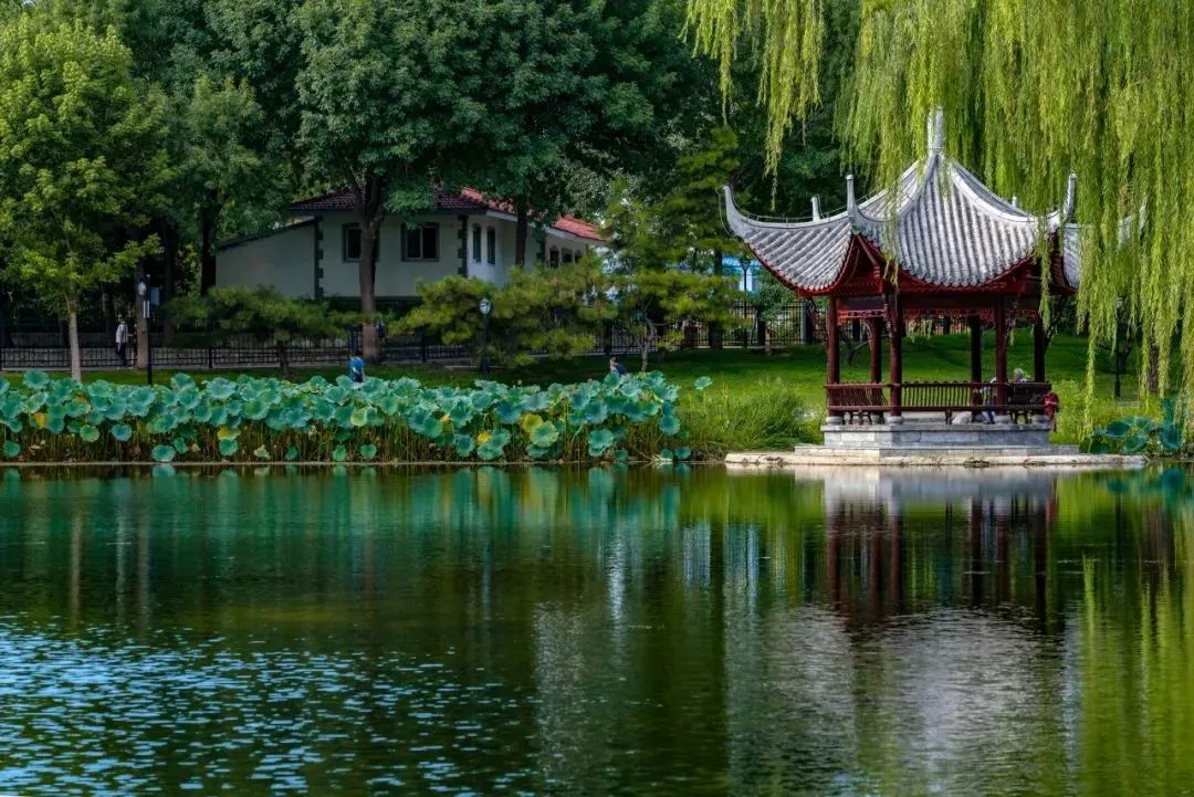 8首夏夜诗词：我在等风，也等你.jpg