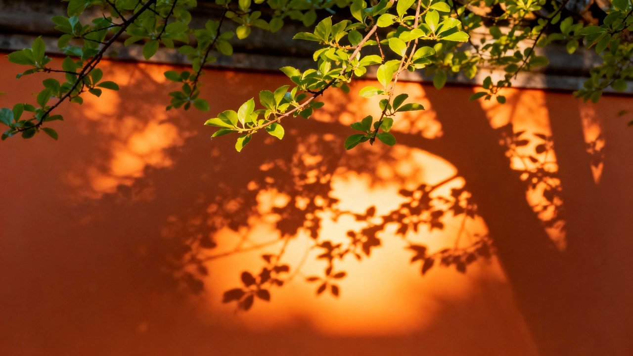 岁月很长，我们慢慢走