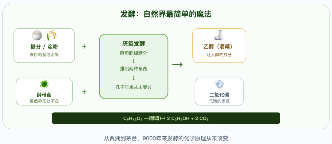 世界的第一滴酒(图5)