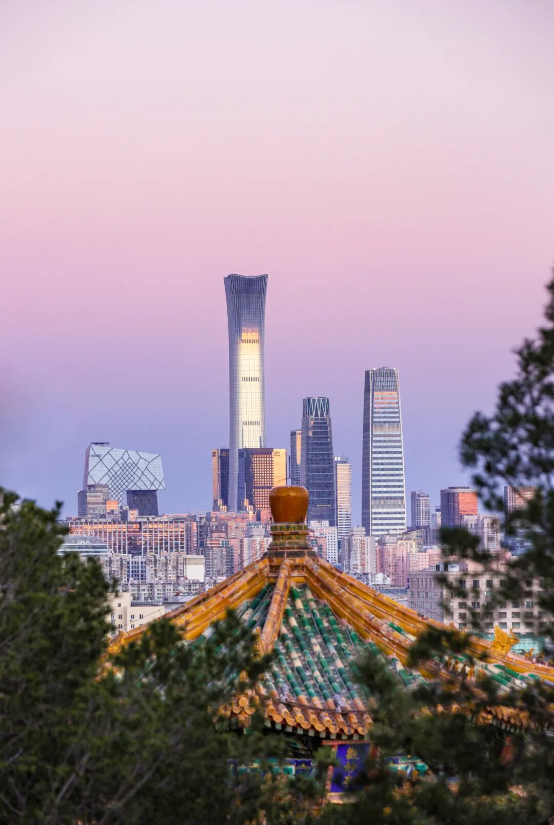 图片 中国尊与飞机(图6)