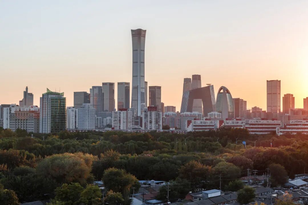 图片 中国尊与飞机(图16)