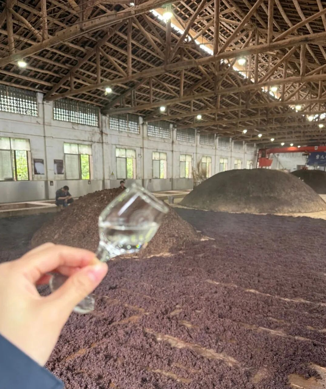 坤沙七个轮次酒烤完后的酒糟去哪里了？