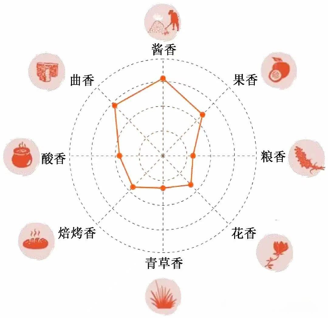 酱香特点1.jpg 茅台,红色壹号和红朝壹号的酱香到底是什么味道?一文读懂茅香完整风味(图4)