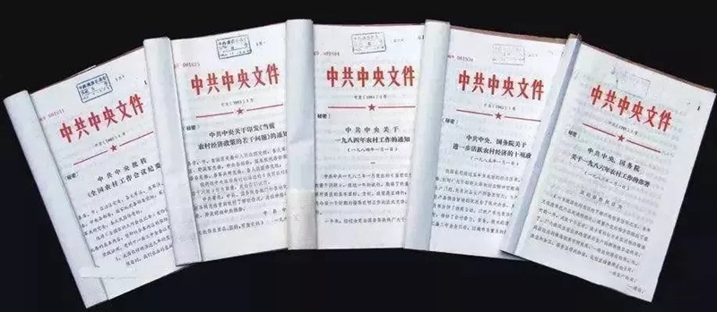 中央一号文件是中共中央重视农村问题的专有名词