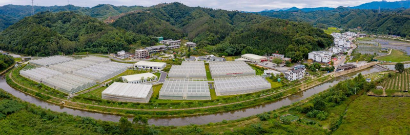 黄坤明王伟中黄楚平到清远调研：提振信心 抢抓机遇 增强动能 推动高质量发展不断迈出新步伐