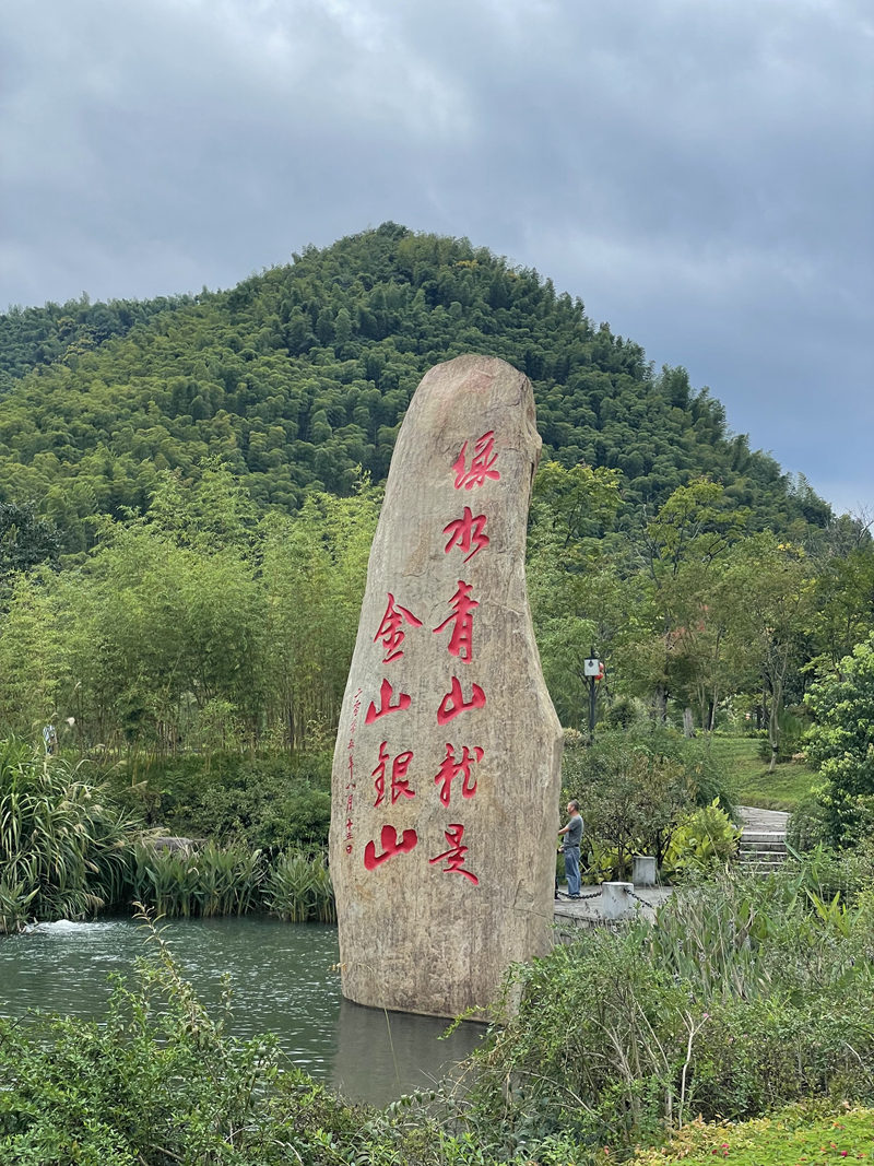 习语：“你保护生态，生态也会回馈你”