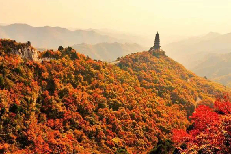 好美！襄垣仙堂山：红叶满山惹人“醉”