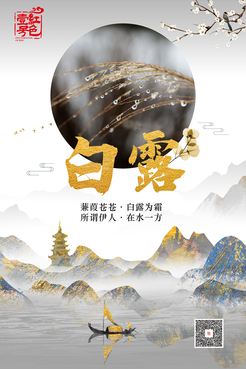 白露到，您“补露”了吗？