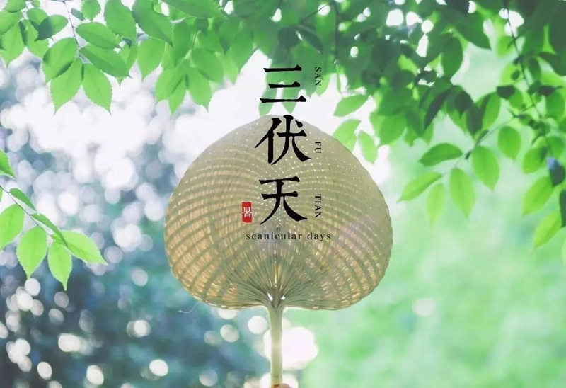 “入伏三不做，一年病不沾”，7月11日入伏，3不做分别指什么？