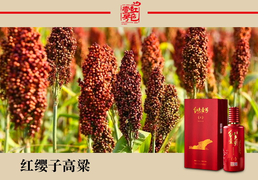 五个白酒冷知识