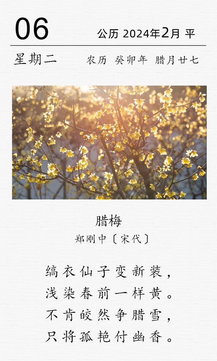郑刚中《腊梅》
