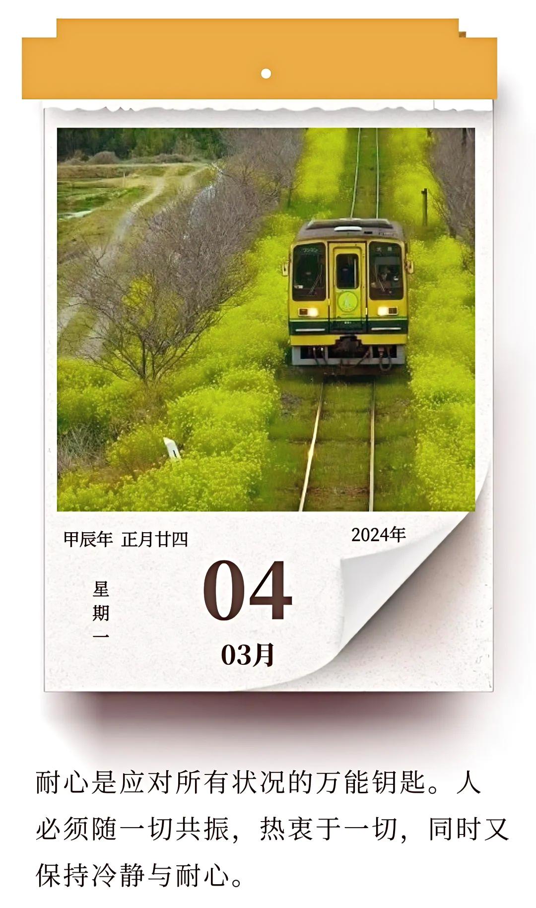 耐心，是一把应对所有状况的万能钥匙