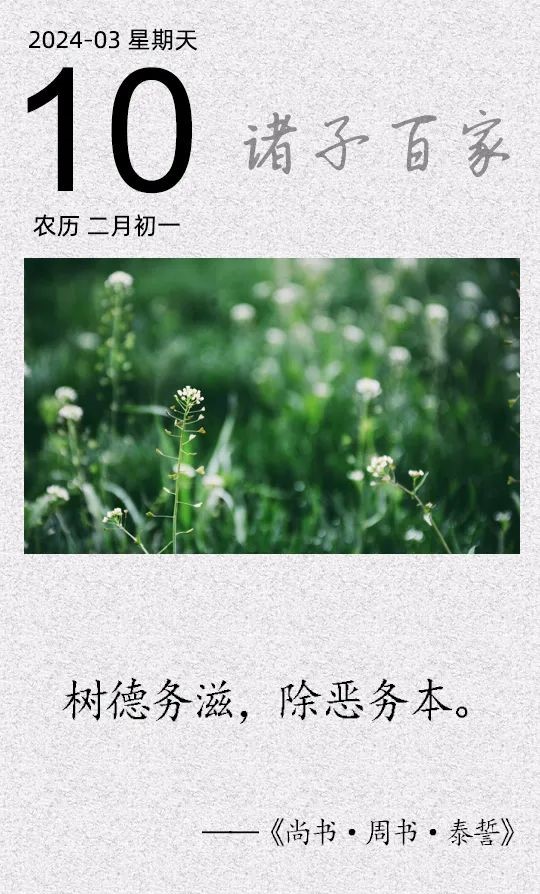 树德务滋，除恶务本