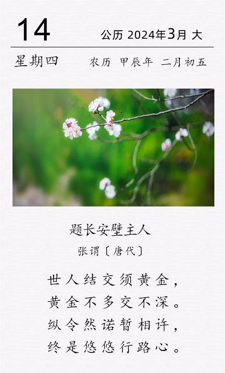  张谓《题长安壁主人》