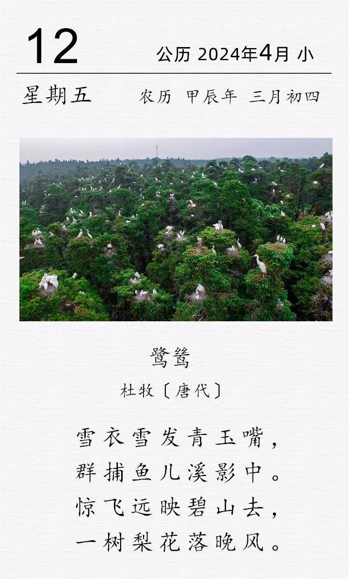 杜牧《鹭鸶》
