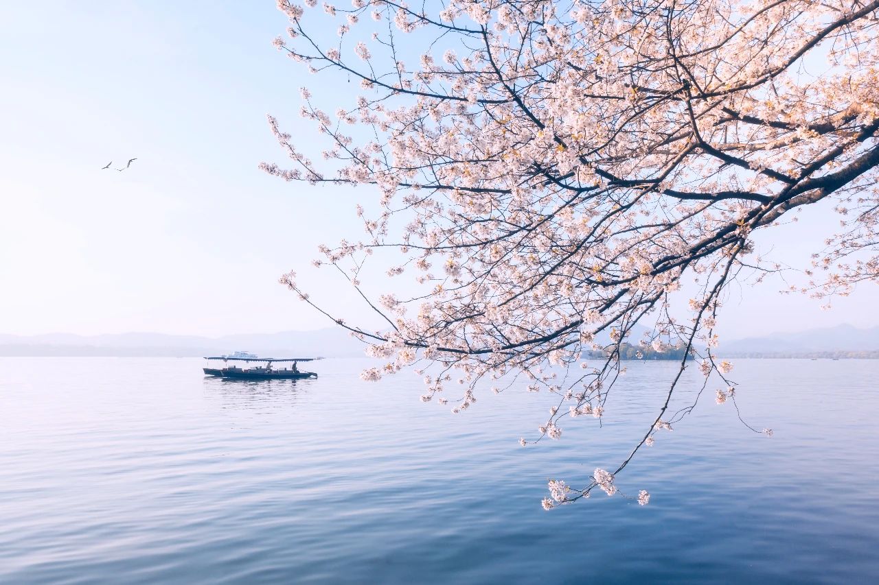 人随春好花烂漫，春与人宜自安然