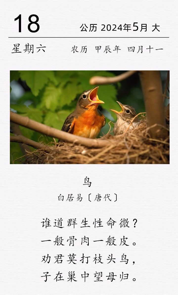 白居易《​​鸟》