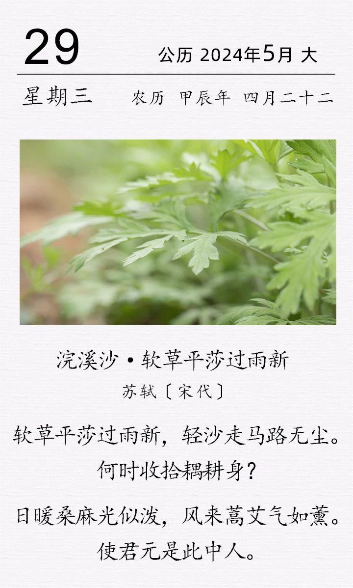 苏轼《浣溪沙·软草平莎过雨新》