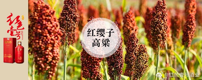 制酒工段之——8道工序