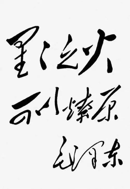 毛泽东高瞻远瞩的政治远见