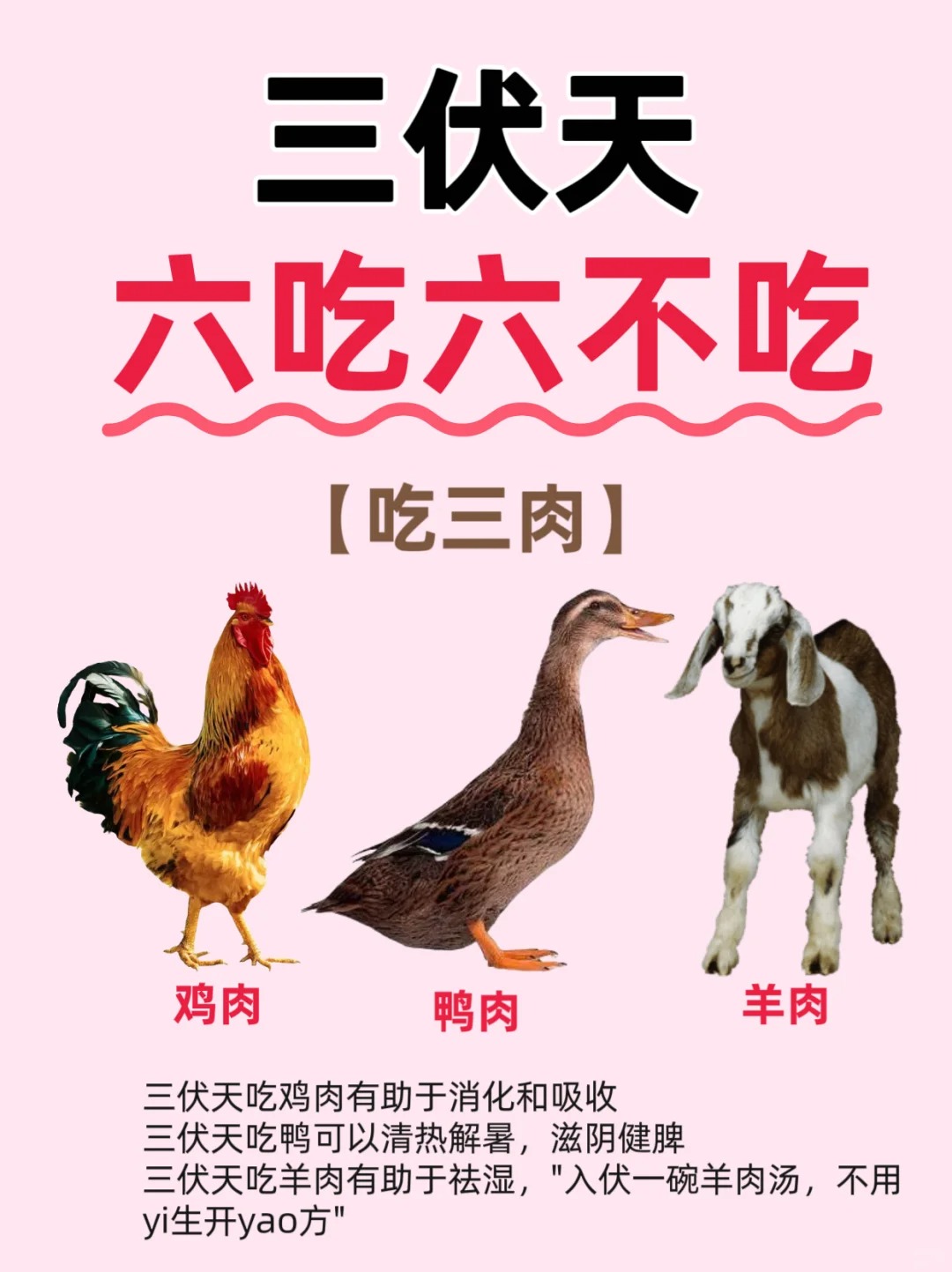 三伏将至❗记住6吃✔️6不吃❌