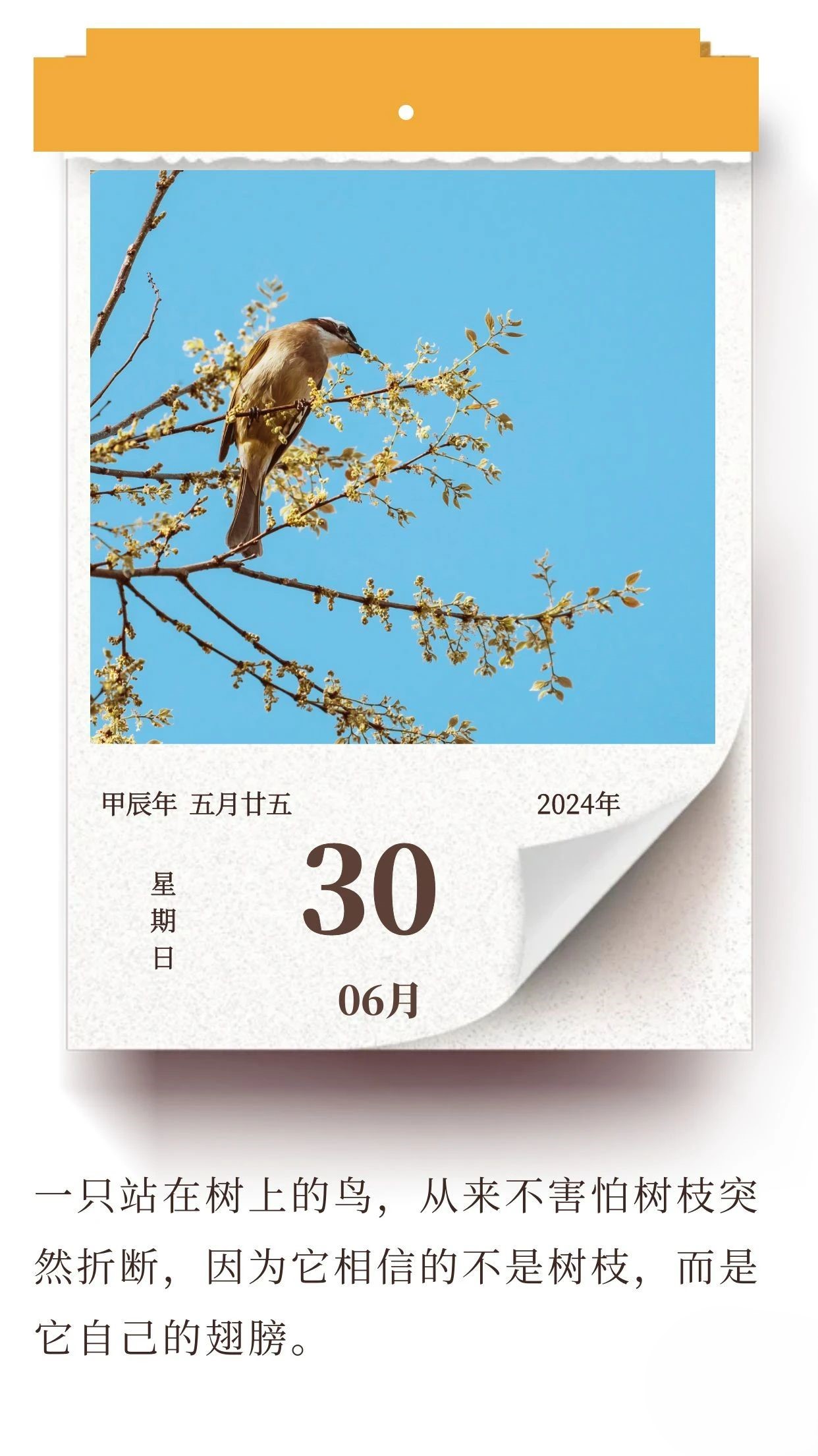 努力提升自己，比依靠他人要更可靠 ​​​
