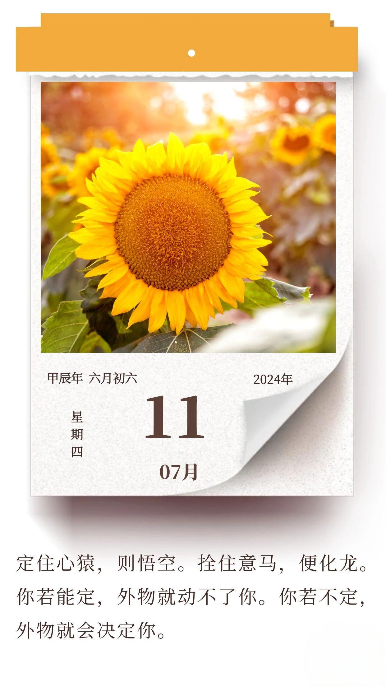 学会沉淀自己，才能活成想要的样子