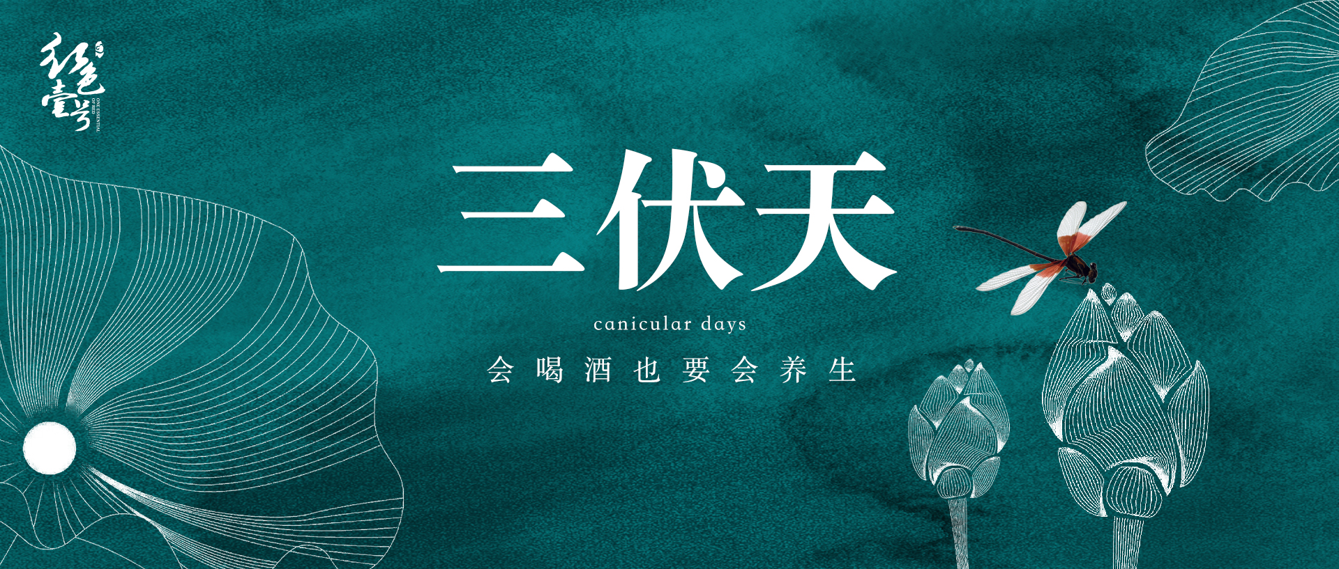 三伏天喝酒，谨记这5点，好处不请自来！