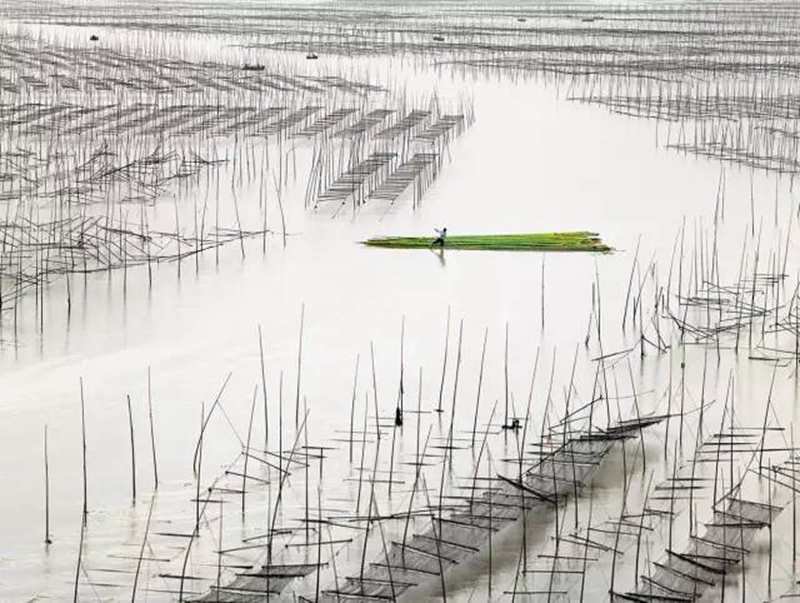 霞浦湾.jpg 霞浦湾.jpg