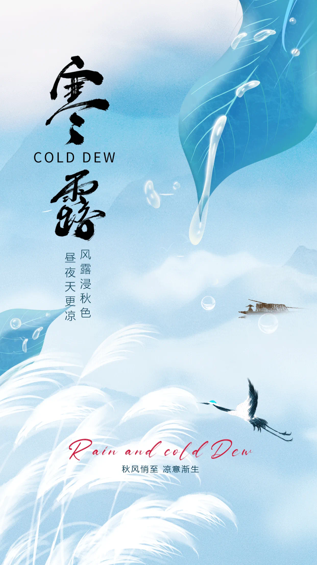 寒露.png 寒露.png