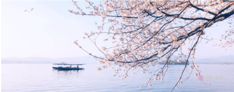 苏轼《减字木兰花·己卯儋耳春词》(图3)